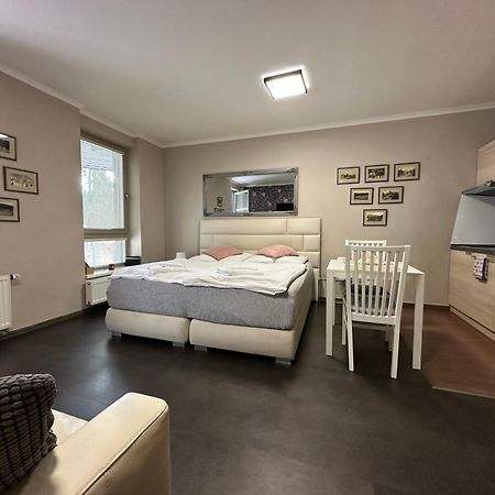 Harrachov Resident Apartments "Terrace & Chill" - High Speed Wifi, Smart Tv, Netflix, Disney Plus Экстерьер фото