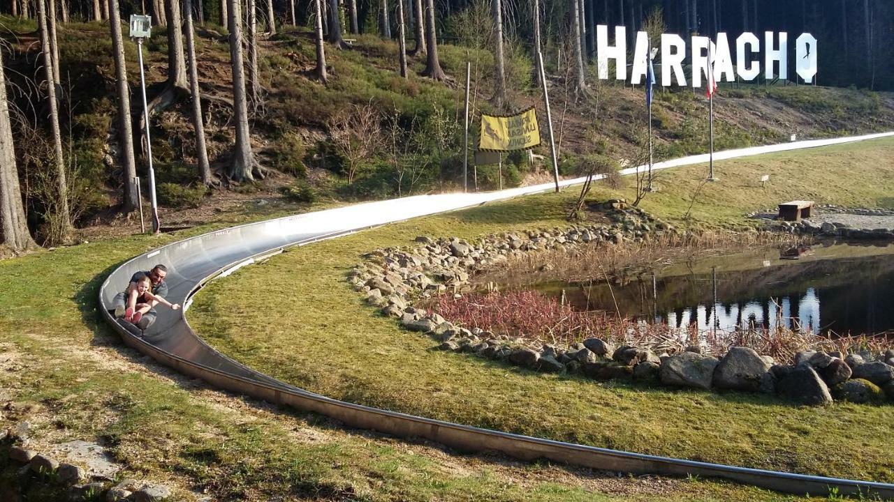 Harrachov Resident Apartments "Terrace & Chill" - High Speed Wifi, Smart Tv, Netflix, Disney Plus Экстерьер фото